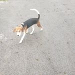Fred Wilkesmore Jr. - @wilkesmorejr.fred - Instagram