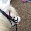 freddie_wilks - @freddie_wilks - TikTok