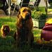Fred Willems - Facebook
