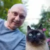 Fred Willems - @fred.willems - TikTok