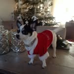 Fred Willemsen - @fred.willemsen.391 - Instagram
