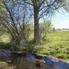 fredwillems48 - @fredwillems48 - TikTok