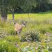 Fred Willet - Facebook