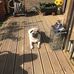 Fred Willey - Facebook