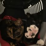 Fred&Willie - @willieenfred - Instagram