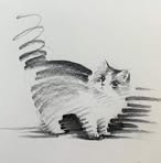 Fred Willy - Facebook