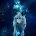 Fred Wilton - Facebook