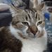 Fredrick Winer - Facebook