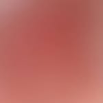 fred - @wingatefred638 - Instagram