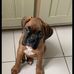 Freddie Wingfield - Facebook