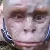 Fredharypotter - @fredwinnings32 - TikTok
