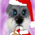Captain Fred Winston - @fredwinston_minischnauzer - Instagram