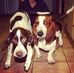 Fred and Winston and Me - Facebook