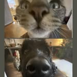 Winston + Fred Watts - @fred_winston_2005 - Instagram
