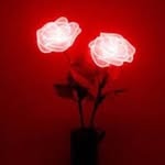 Fatimah - @f_redwinter - Instagram