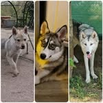 Frederic Winterstein - @fredericwinterstein - Instagram