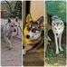 Frederic Winterstein - Facebook