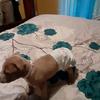 Fred - @fred.wooten - TikTok