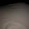 fredstalkwren - @fredstalkwren - TikTok