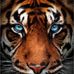 Fred Rigley - Facebook