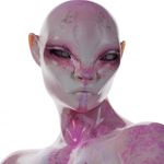 @fredwurd - Instagram