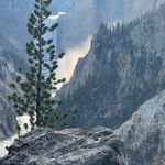 Fred Wyatt - @fred.wyatt.52 - Instagram