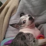 Fred Wyatt - @fred.wyatt.378 - Instagram