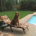 Fred F. Wynn - @wwafrr1 - Instagram