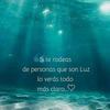Fredy Aegerter - @fredy.aegerter - TikTok