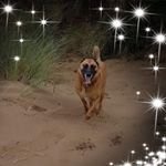 FREDDIE Yarbrough - @freddie.yarbrough - Instagram