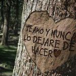 fredy suazo - @fredy.augusto1313 - Instagram