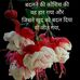 Aryan Frd - Facebook