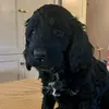 Follow_for_follow123385 - @freddy_boy3 - TikTok