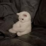 Jimmy Frenklin Yericko - @jimmyfrenklinyericko - Instagram