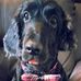 Fred Yim - Facebook
