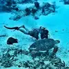 Fredy Inclan - @fredy.inclan - TikTok