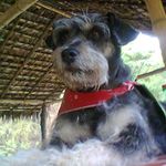 Fredy Ossa - @fredy.ossa.75 - Instagram