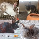 Fredzak - @fredzak_farms - Instagram