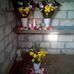 Fred Zarate - Facebook
