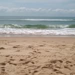 Fred zastrow - @zastrowfred - Instagram