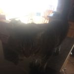 Fred Zimmer - @freds_finsta - Instagram