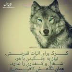 fezol - @fredonifezollah - Instagram