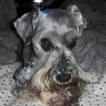 fred - @fred_zollner - Instagram