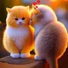 Addo Freda - @addo.freda - TikTok
