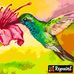 Freda Albert - Facebook