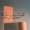 Freda Ali quran - @freda.ali.quran - TikTok