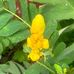 Freda Anderson - Facebook