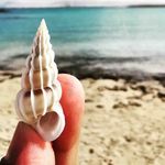 Freda Armstrong - @fredaarmstrong959 - Instagram