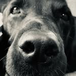 Freda Atkinson - @fr3datk - Instagram
