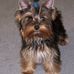 Freda Austin - Facebook